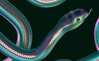 یادگیری پایتون (Learning-Python)
