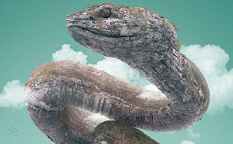 آموزش ضروری پایتون (Python-Essential-Training)