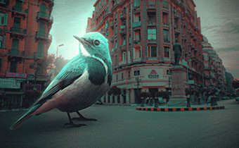 دستکاری عکس (Manipulate-Photo)